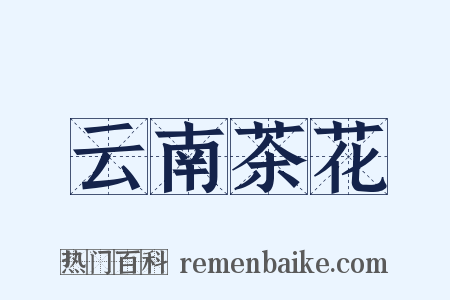 云南茶花是什么意思的图片